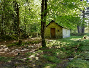 Saint Sagittaire, premier apôtre de la montagne limousine