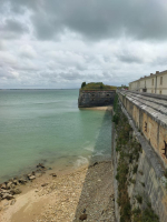 Les bons plans de la citadelle - Suzzyone