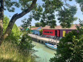 Les bons plans de la citadelle - StephM