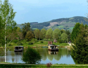 Panique dans l'arboretum !