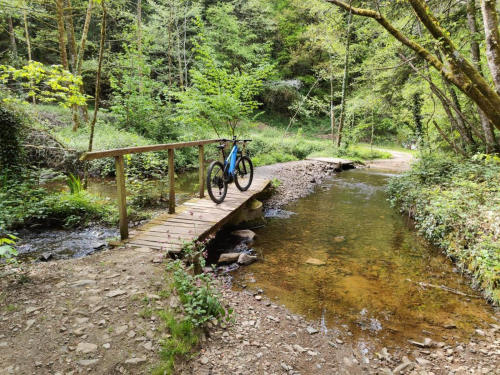 Les cyclistes ont la cote ! - bbwlsh
