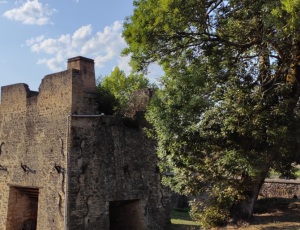 Brocas_Que la forge soit avec vous