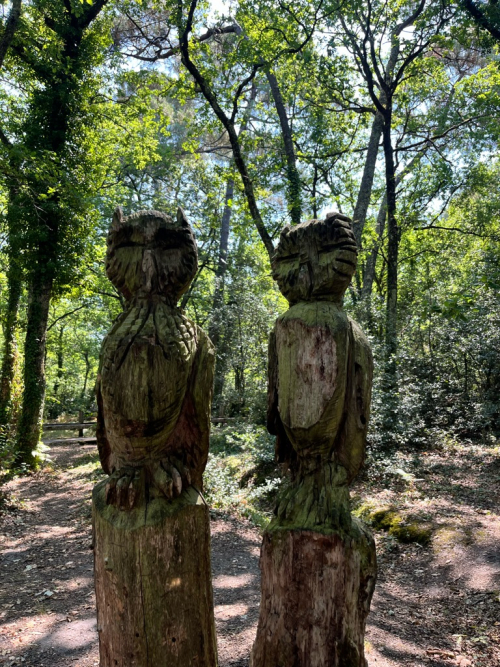 Le Bourgailh, forêt presqu’enchantée... - yaya6.3m