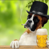 Profile picture for user lassi@mailo.com