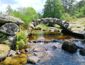 Sur les traces des tailleurs de pierre