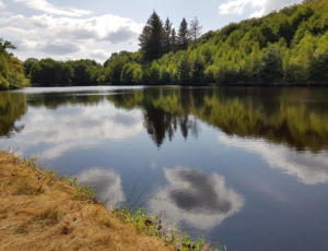 Ricochets de lacs en étangs, d’étangs en fontaines