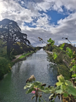 Du rififi au pont-canal - Mairy