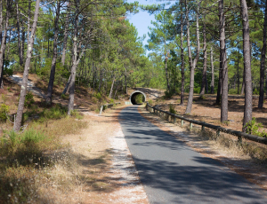 Ziclou des rails, à Lacanau_Lacanau Océan