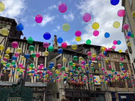 Limoges, belle de nuit - Softurtle24