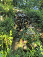 La source de Roland - cigogne