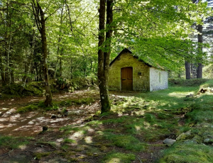 Saint Sagittarius, first apostle of the Limousin mountains