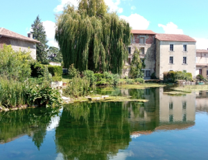 Bourg-Charente_Petit_gourmet_cherche_grand_cru
