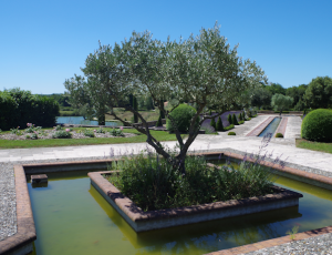 Trizay_Naufrage au Bois Fleuri