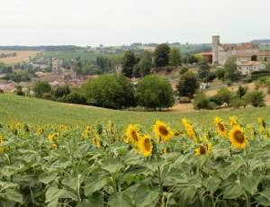 In Vigny veritas !_Blanzac-Champagne Vigny