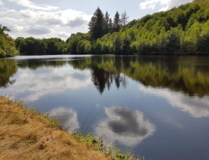 Ricochets de lacs en étangs, d’étangs en fontaines