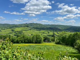 Les deniers de la Vicomté en danger ! - Anaëlle🤪