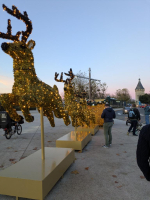 N’oublie pas mon petit courrier... - Milo's family