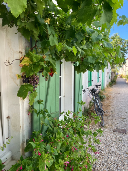Ré, une note de mystère… - romalinecaju
