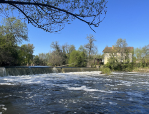 Saint-Martial-d'Artenset_L’affaire Duellas