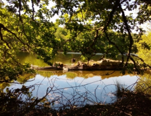terra_aventura_lac
