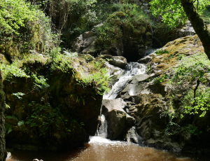 Cascade des moulines - thierry penicaud@ot gd gueret 2019