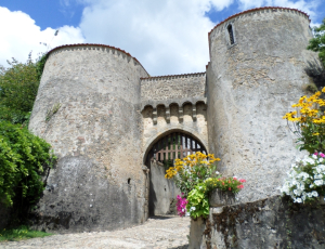 Les empreintes de l’ange doré