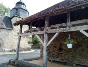 Sur les traces de Neandertal