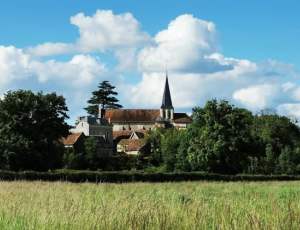 Vicq-sur-Gartemps_Mulet de Jacquelin, superstar