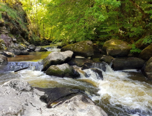 Bien à l'aise au Pot Bouillant