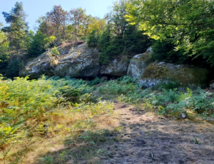 Voyage au pays des fées