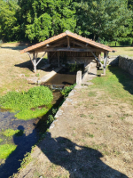 Tour de passe-passe chez les rapaces - tiber8679
