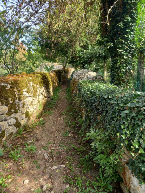 Tour de passe-passe chez les rapaces - lunenoire