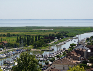 Les moutonniers de l’estuaire_Mortagne-sur-Gironde