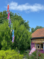Les bons plans de la citadelle - aumaclébru