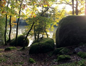 La Bête au Bois-Pouvreau