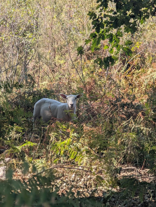 Sur le toit de la Charente - DavidSandraCauline