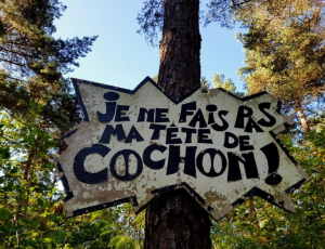 Le cochon dans tous ses états
