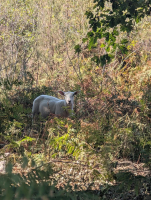 Sur le toit de la Charente - DavidSandraCauline
