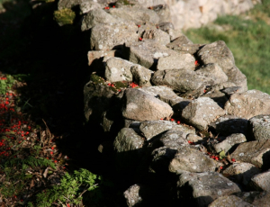 The stone cache