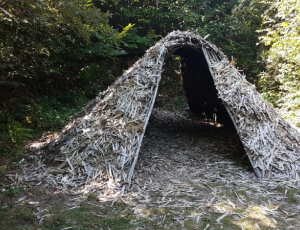 En poste dans la forêt de Boubon !