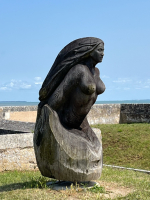 Les bons plans de la citadelle - LiliBenjy