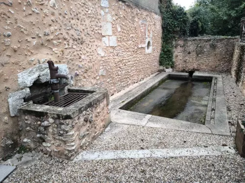 Un croquant sachant croquer … - mymybruscual