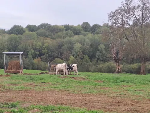Enquête à Sepvret - Les Bretons du Chateau Blanc
