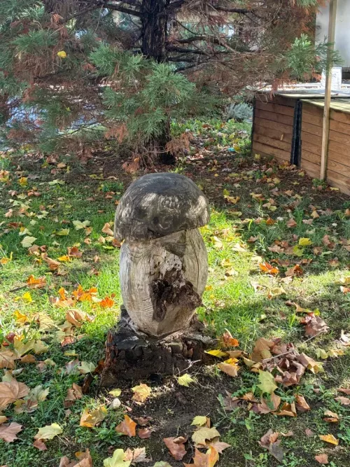 Un croquant sachant croquer … - Cléophée33