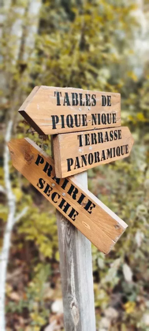 Un croquant sachant croquer … - Mesfillescheries23